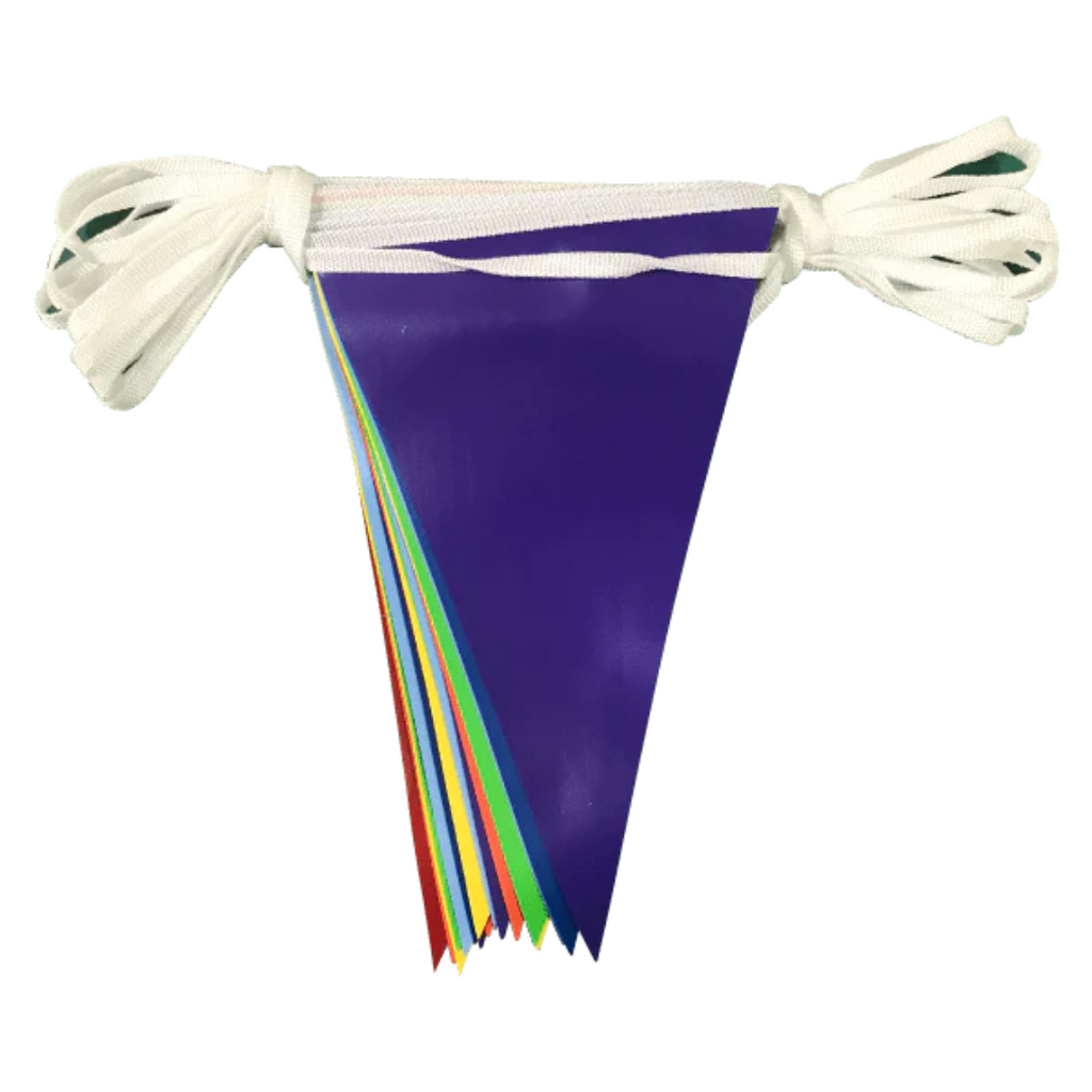 Rainbow PVC Bunting (LGBTQ+ Pride)