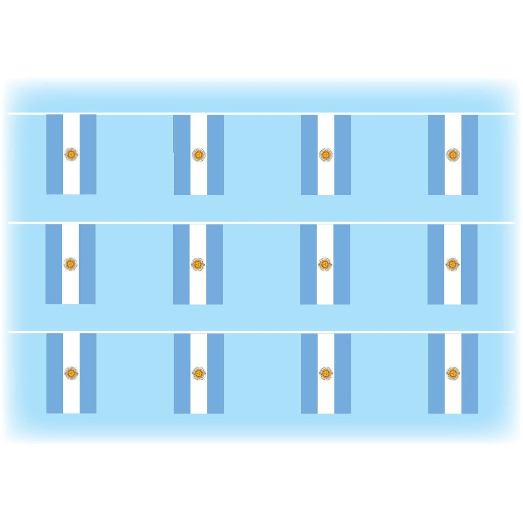 Argentina flag bunting