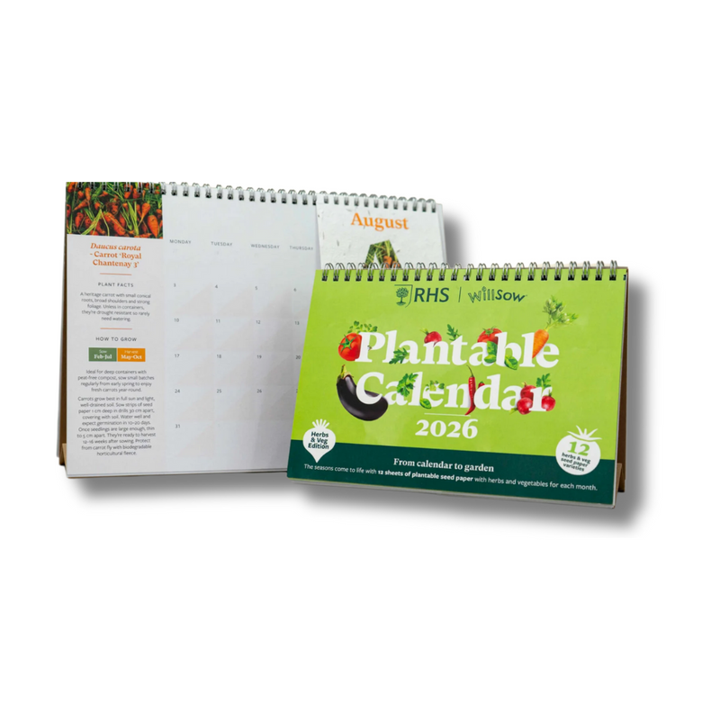 A5 Seed Paper Desk Calendars