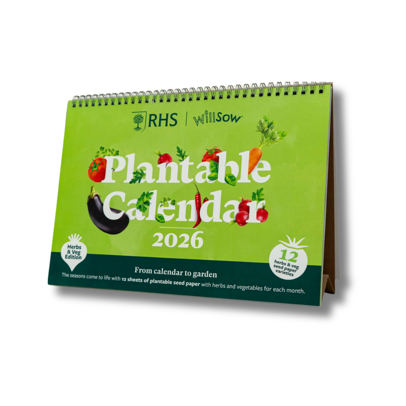 A4 Seed Paper Desk Calendars