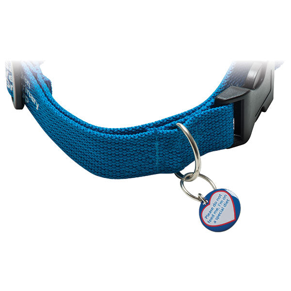 Promotional Dog ID Tag