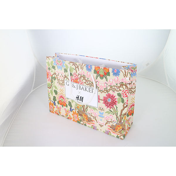 Landscape Laminated Paper Carrier Bag - Small