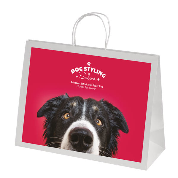 Ashdown XL White Kraft Paper Gift Bag - Full Colour