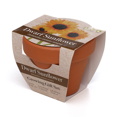 Sunflower Growing Kit