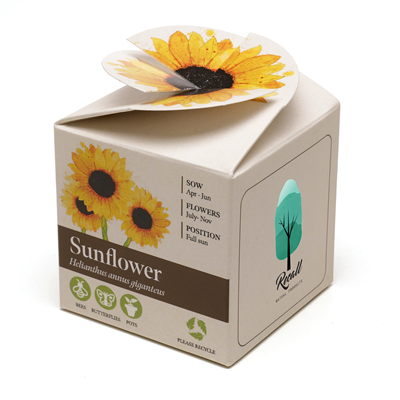 Sunflower Mini Box Growing Kit