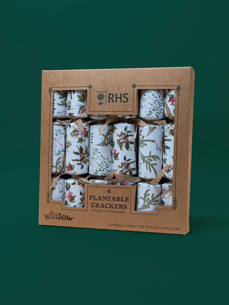 Seed Paper Christmas Crackers