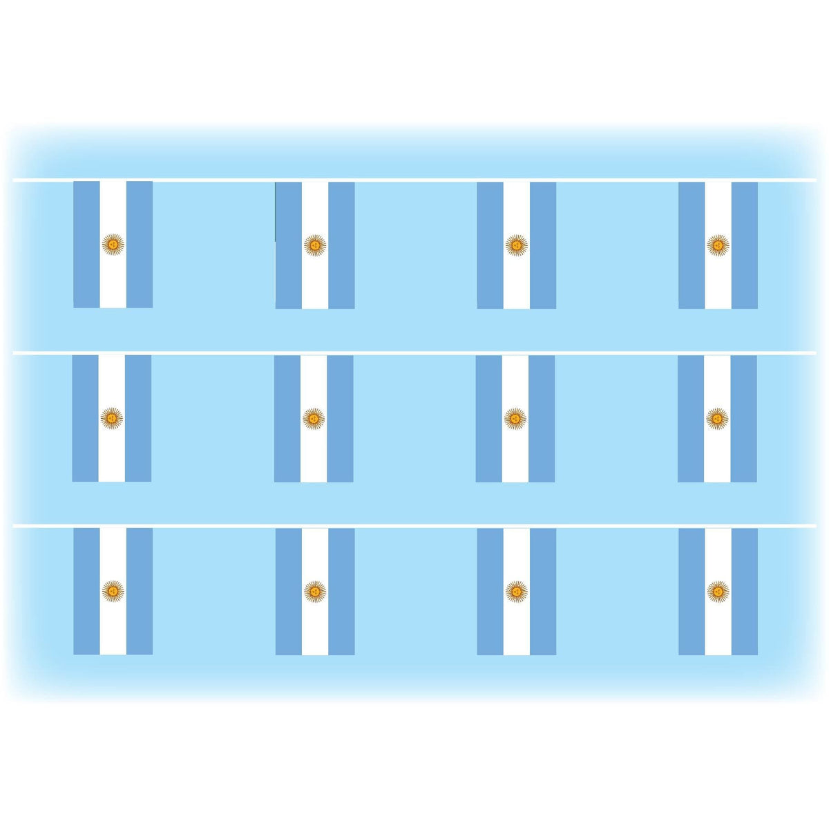 Argentina flag bunting