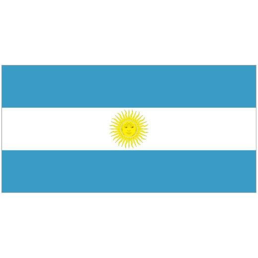 ARGENTINA 1.52m x 0.91m (5ftx 3ft) Budget Display Flag