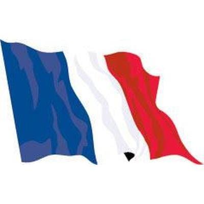 France 1.52m x 0.91m (5ft x 3ft) Budget Display Flag