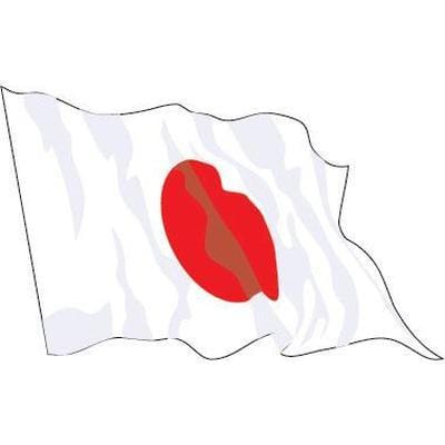 Japan 1.52m x 0.91m (5ftx 3ft) Budget Display Flag