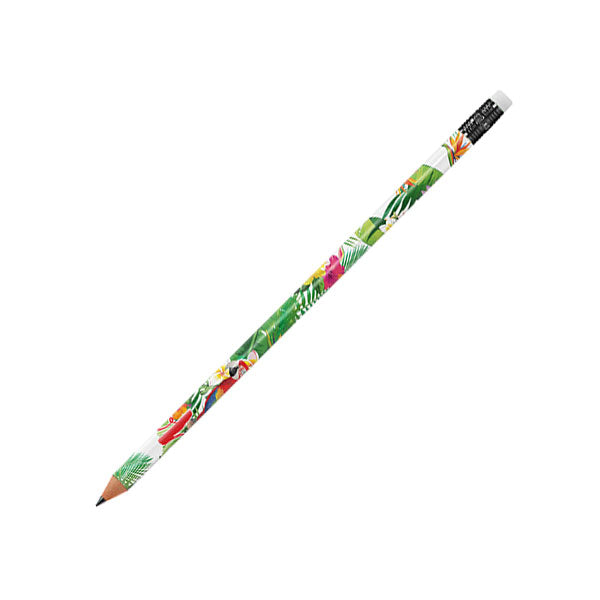 BIC Ecolutions Evolution Classic Pencil - Full Colour