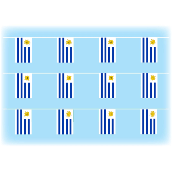 Uruguay Synthetic Bunting